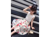 美美 (5)